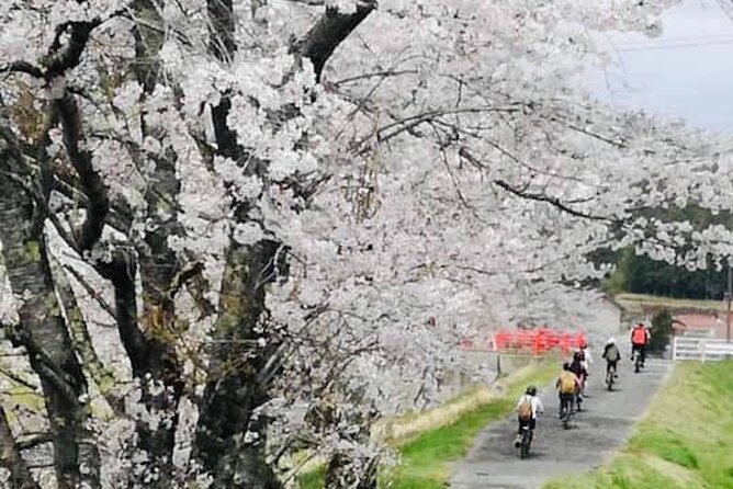 Hiroshima Country Cycling: Explore Rural Life 1 HR from City - Who will get the most from this Oasa outing?