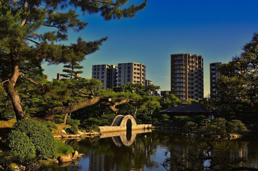 Hiroshima: Hidden Gems and Highlights Private Walking Tour - Ekinishi, Nagarekawa, and the evening side of town