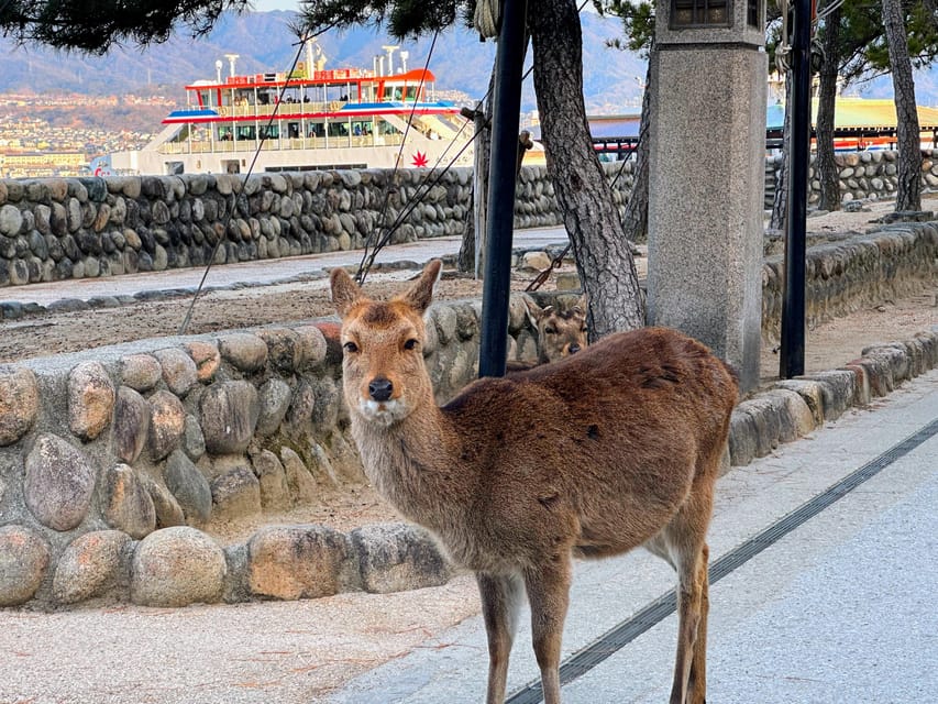 Hiroshima: Hiroshima and Miyajima UNESCO Sites 1-Day Tour - Eating Hiroshima-style okonomiyaki