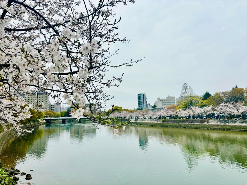 Hiroshima: History of Hiroshima Group Walking Tour - The Peace Bell and time for reflection