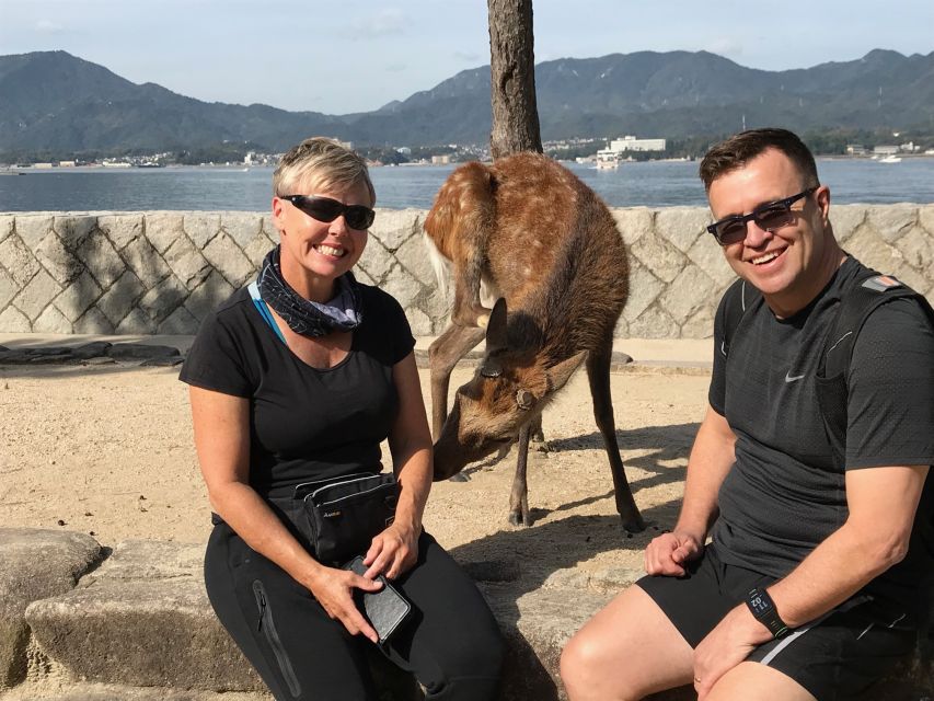 Hiroshima & Miyajima: Full-Day Private Tour & Licensed Guide - Who should book this private day