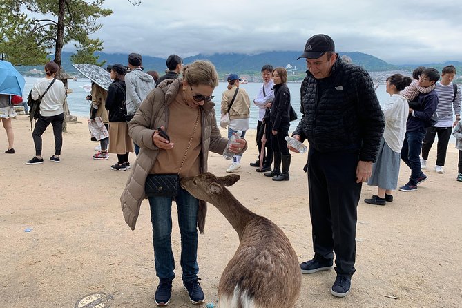 Hiroshima / Miyajima Full-day Private Tour with Government Licensed Guide - Food, walking, and the extra costs