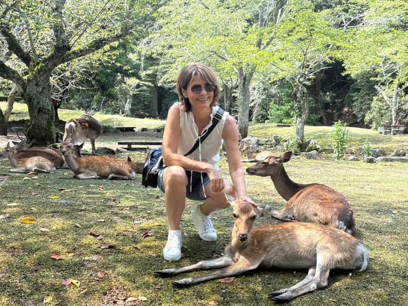 Hiroshima: Miyajima Island Half-Day Tour with Guide - Meeting at Miyamaguchi and crossing the Seto Inland Sea