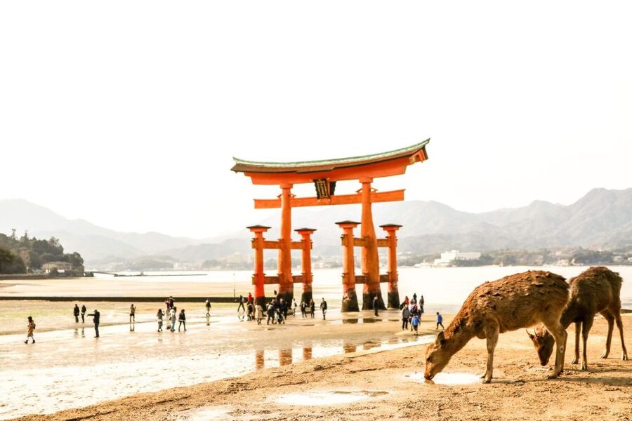 Hiroshima: Miyajima Peace Memorial Icons of Peace and Beauty - The ferry ride gives you a needed pause
