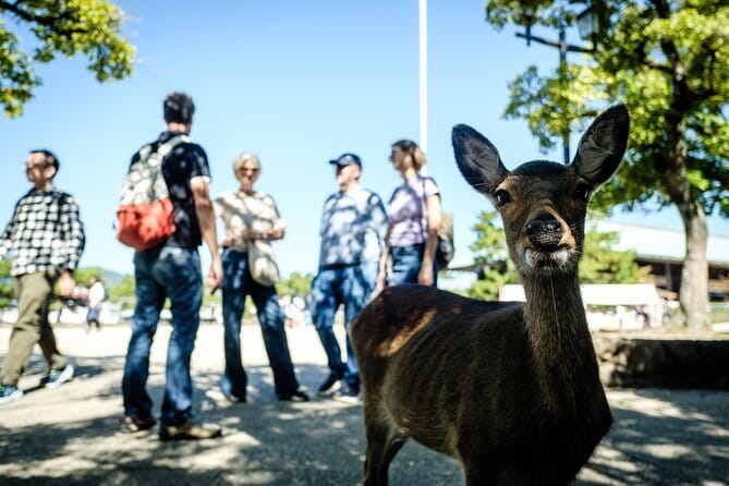 Hiroshima & Miyajima: Private Full-Day Tour with a Local Guide - Allowing an hour for the Peace Memorial Museum