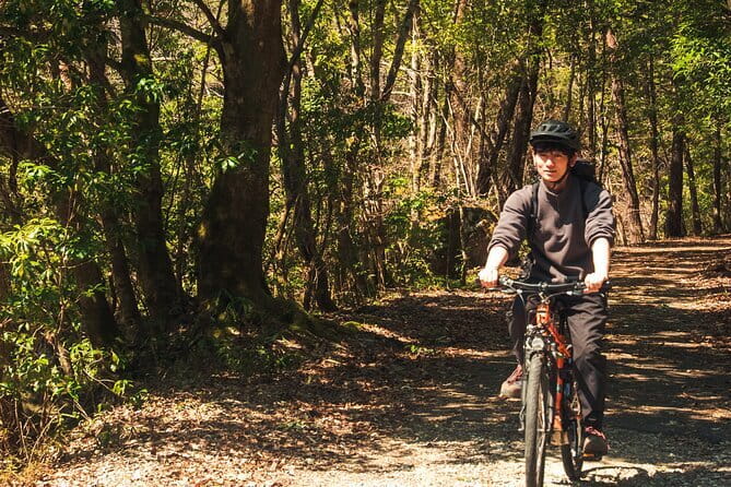 Hiroshima Private Walking Tour with a Local - Can Miyajima be part of the plan?