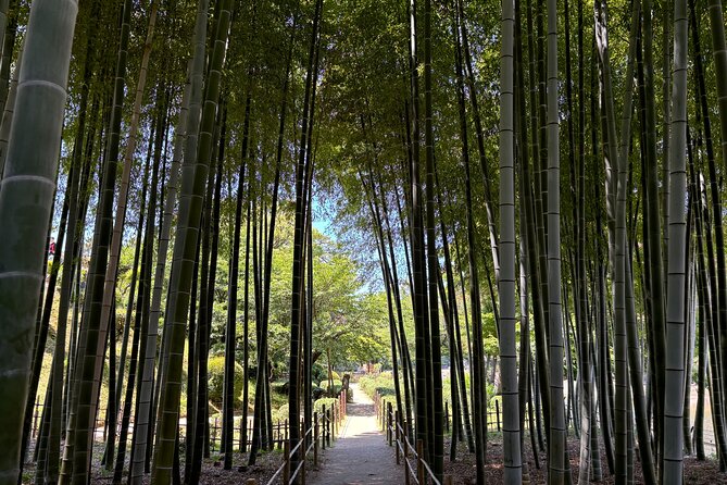 Hiroshima’s Heart: A 4-Hour Private Storytelling Walk - Food advice and local conversation after the walk