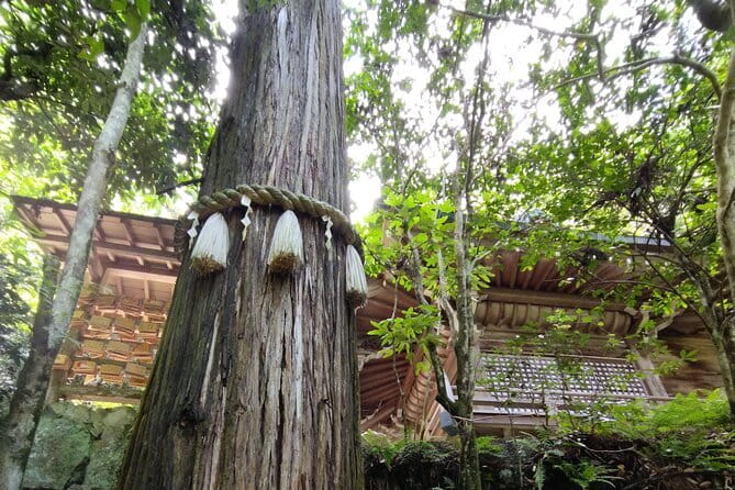 Hiroshima Scenic Cycling Guided Tour - Hiroshima Castle and a look at the old city