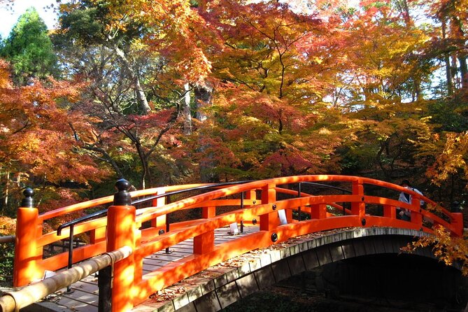 Historical Kyoto E-Bike Tour - Kinkakuji and the Golden Pavilion