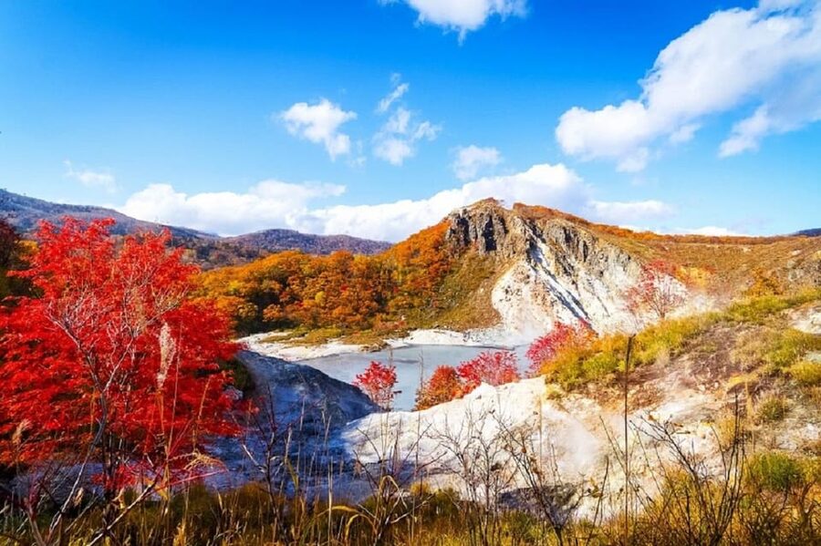 Hokkaido│Noboribetsu & Lake Toya Tour with Ropeway Ticket - What the guides and transport add