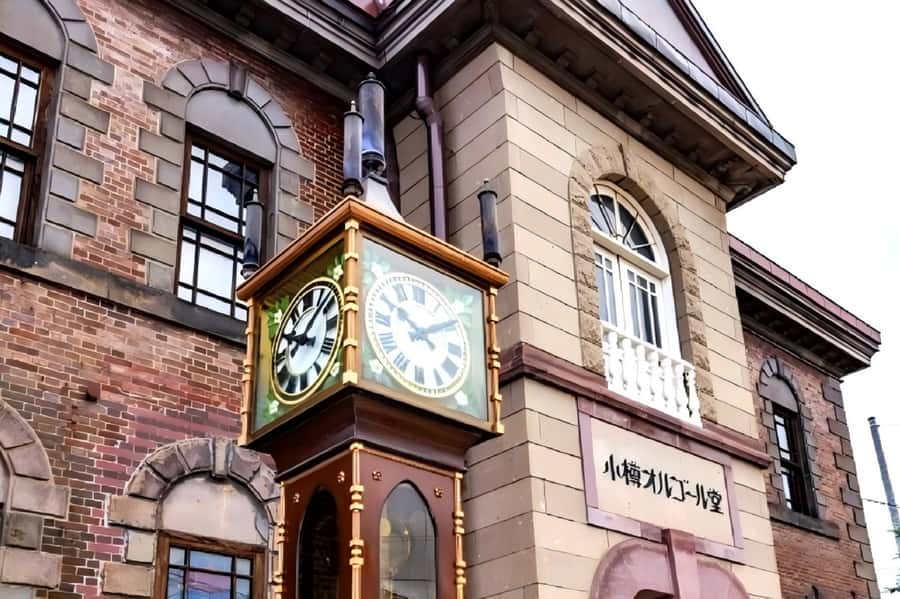 Hokkaido, Sappro, Otaru & Cape Kamui One-day Tour - The coach experience and the early meeting point