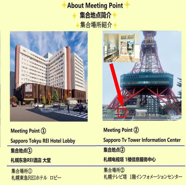 Hokkaido Tour:Sapporo to Noboribetsu, Lake Toya,Ice Festival - Key things to know before you book