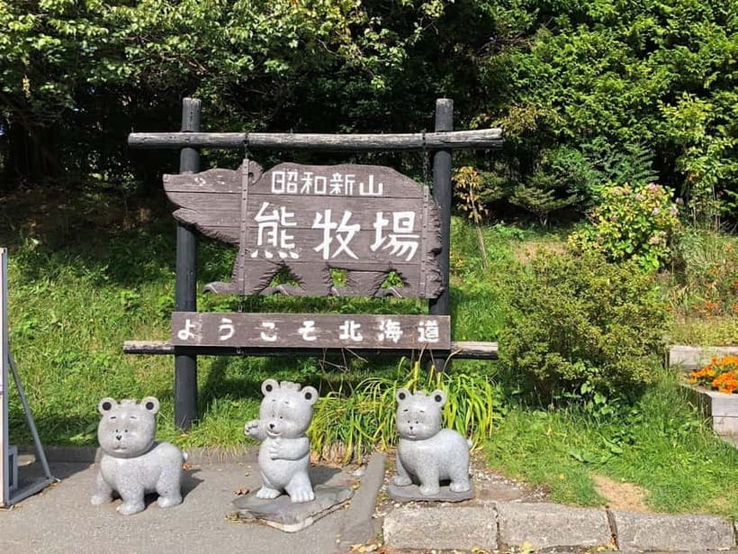 Hokkaido Tour:Sapporo to Noboribetsu, Lake Toya,Ice Festival - The Shikotsu Lake Ice Festival in winter
