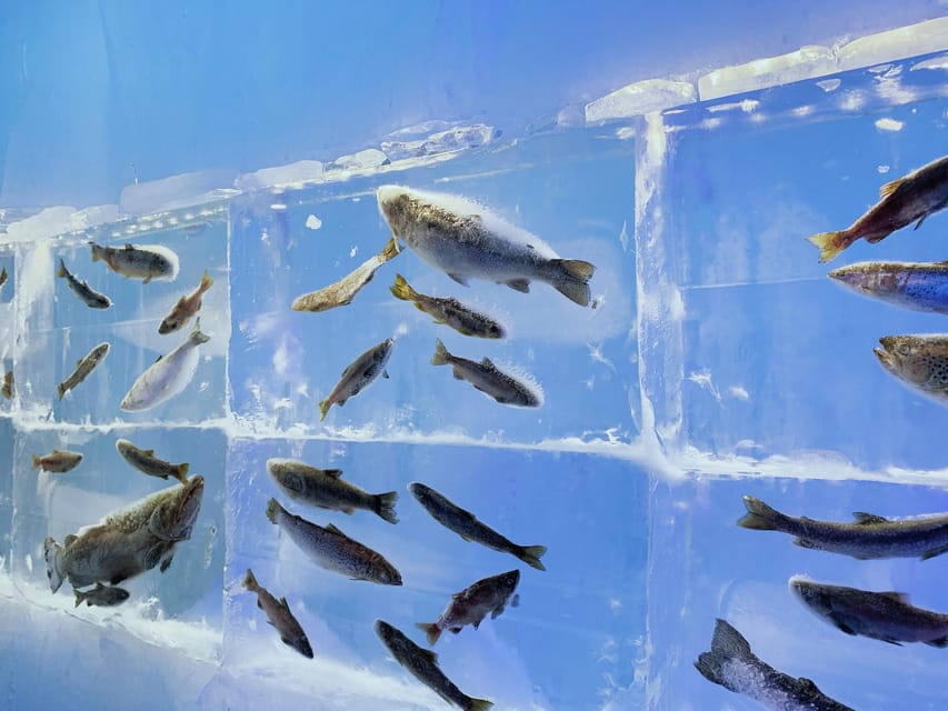 Hokkaido Tour:Sapporo to Noboribetsu, Lake Toya,Ice Festival - How the $63 price works in your favor