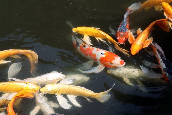 Imperial Palace East Garden and Edo Castle Walking Tour in Tokyo - How to decide if the gardens are worth your time