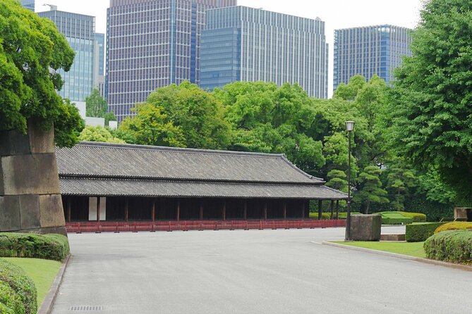 Imperial Palace East Garden and Edo Castle Walking Tour in Tokyo - Walking through the East Gardens