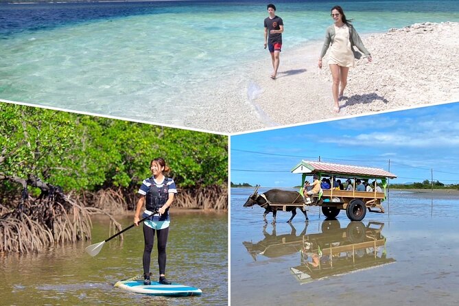 Iriomote 1 Day Mangrove SUP/Canoe, Barasu Island & Yubu Island - Lunch near Uehara, with time to reset
