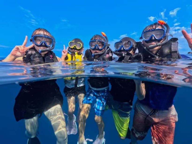 Iriomote: Boat Snorkeling Tour at Barasu Island - A quick route from Densa Terminal to Barasu Island