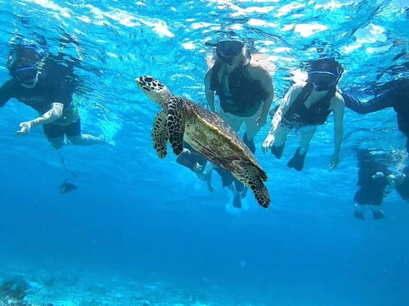 Iriomote: Boat Snorkeling Tour at Barasu Island - Why the $50 price makes sense