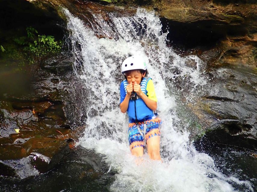 Iriomote Island: Guided 2-Hour Canyoning Tour - Who should book this Iriomote activity?