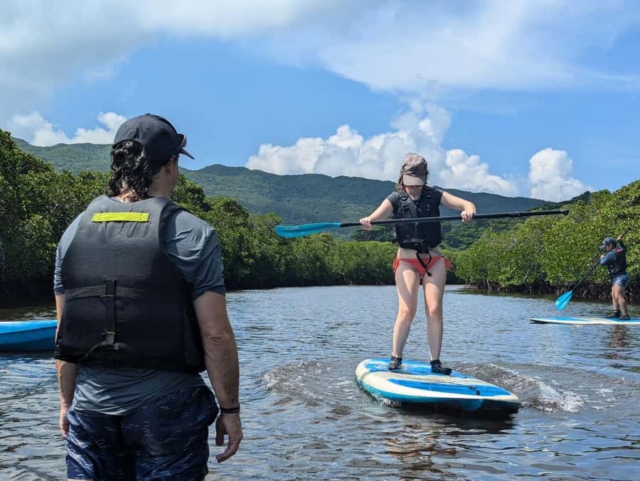 Iriomote island: Mangrove River SUP or Canoe Cruising Tour - Key points to know before booking
