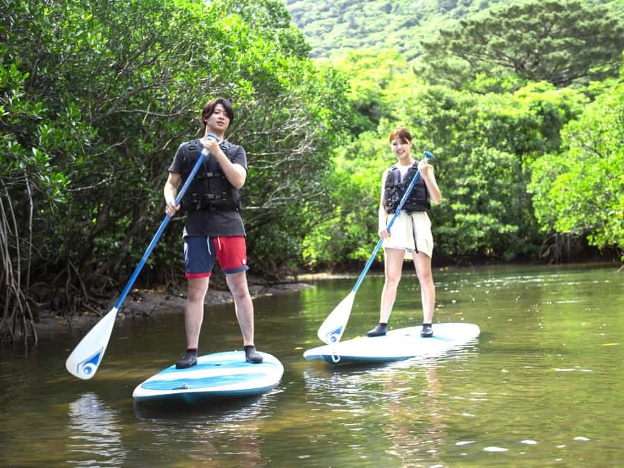 Iriomote island: Mangrove River SUP or Canoe Cruising Tour - Getting on the canoe or SUP