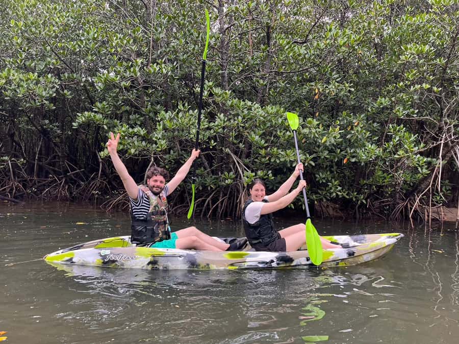 Iriomote island: Mangrove River SUP or Canoe Cruising Tour - Reading the mangroves from the water