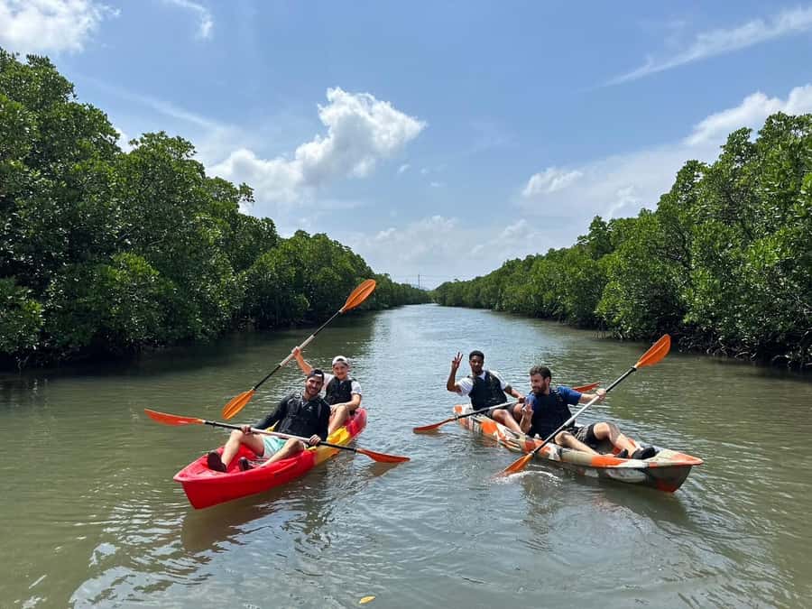 Iriomote island: Mangrove River SUP or Canoe Cruising Tour - Is $50 a fair price?