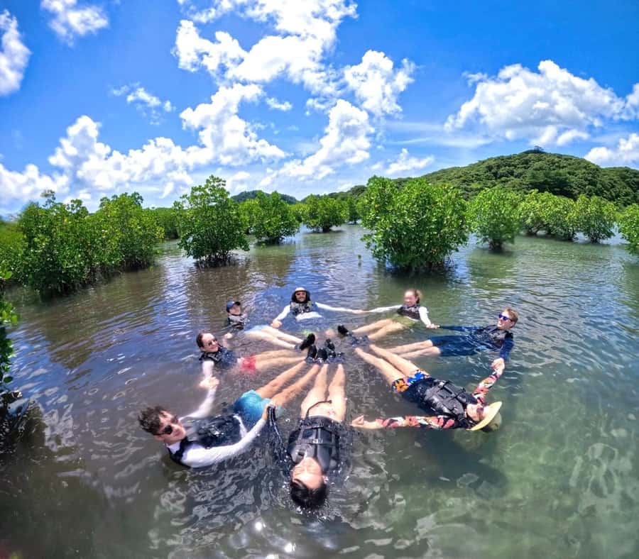 Iriomote island: Mangrove River SUP or Canoe Cruising Tour - Who will enjoy this most?