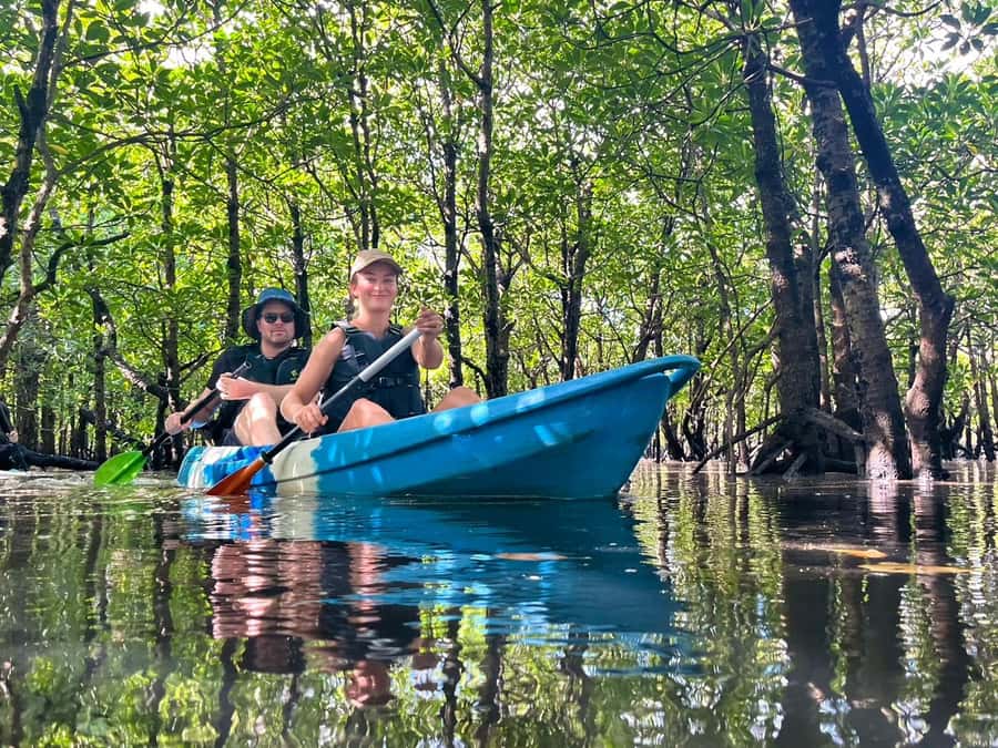Iriomote island: Mangrove River SUP or Canoe Cruising Tour - Starting at Uehara Port