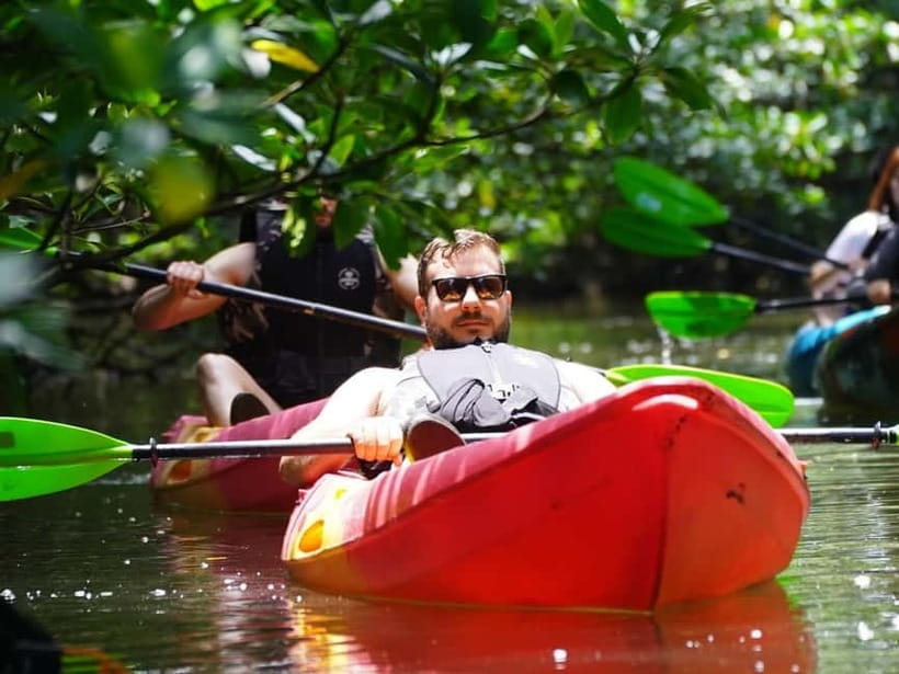 Iriomote: Mangrove SUP or Canoe and Yubujima sightseeing - What the guide adds to the river portion