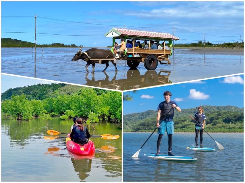 Iriomote: Mangrove SUP or Canoe and Yubujima sightseeing - Who will enjoy this six-hour outing?