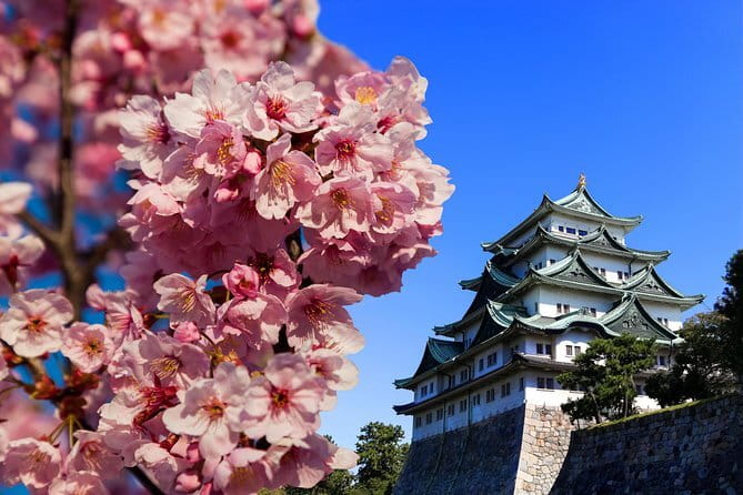 Ise’s Sacred Shrines and Captivating Coastlines - From Nagoya - Who will get the most from this Ise day