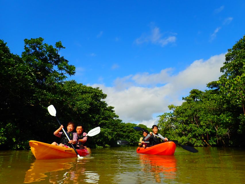 Ishigaki Island: 2-Hour Miyara River SUP or Canoeing Tour - Key points to know before you paddle