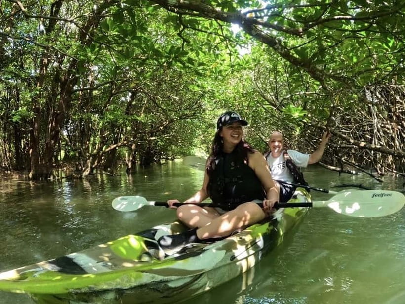 Ishigaki Island: 2-Hour Miyara River SUP or Canoeing Tour - Why the Miyara River is the right place for a quiet paddle