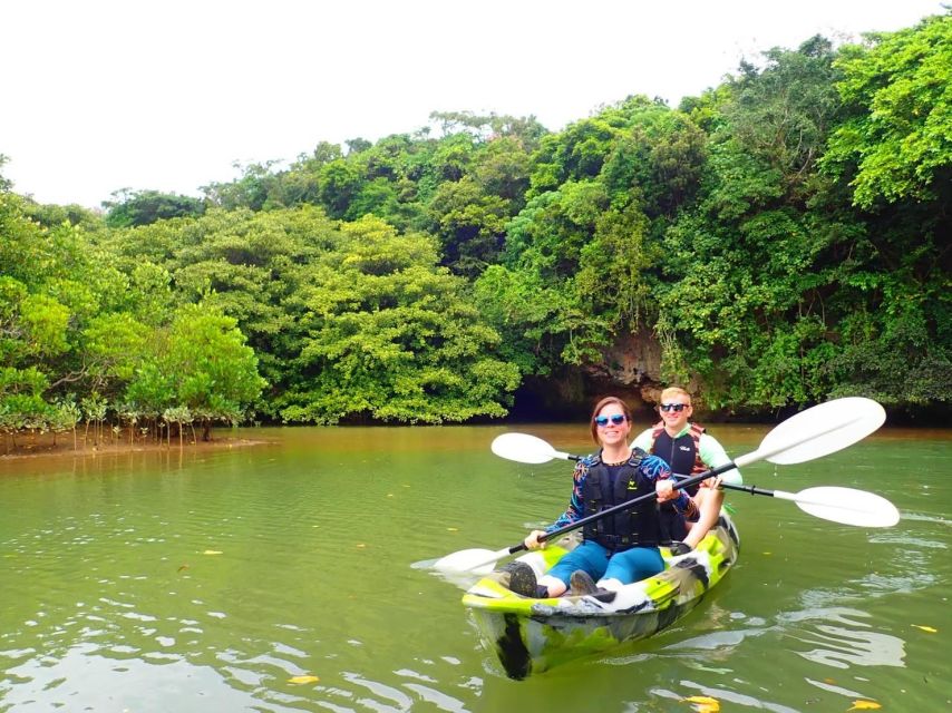Ishigaki Island: 2-Hour Miyara River SUP or Canoeing Tour - Choosing a canoe or stand-up paddleboard