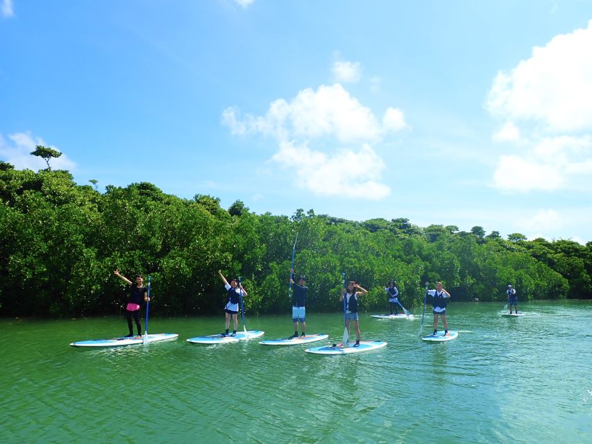 Ishigaki Island: 2-Hour Miyara River SUP or Canoeing Tour - What the 75-minute river route feels like