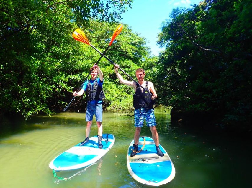 Ishigaki Island: 2-Hour Miyara River SUP or Canoeing Tour - Photos, showers, and the practical extras