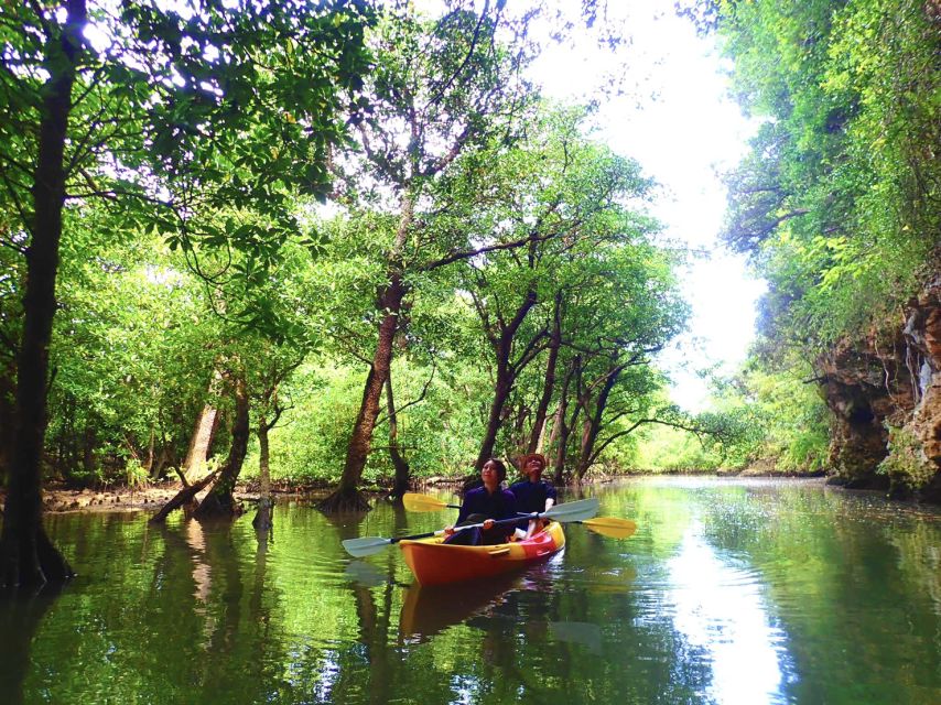 Ishigaki Island: 2-Hour Miyara River SUP or Canoeing Tour - Who will enjoy this tour most