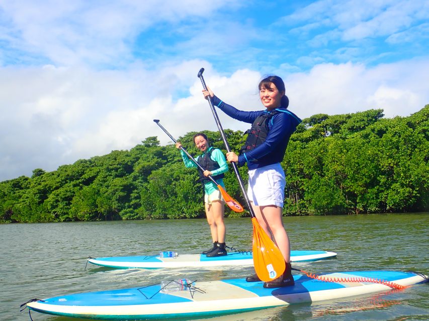 Ishigaki Island: 2-Hour Miyara River SUP or Canoeing Tour - Is $54 a fair price?