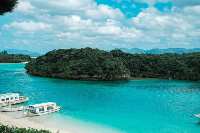 Ishigaki Island Private Tour by English Native Speaker - Pineapples, mangoes, and a local food stop