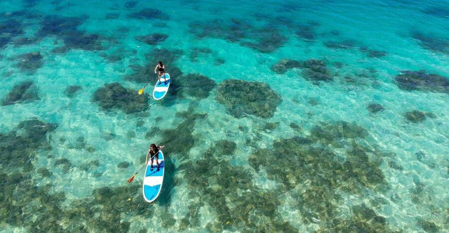 Ishigaki Island: SUP or Kayaking experience at Kabira Bay - Choosing Between a SUP and a Kayak