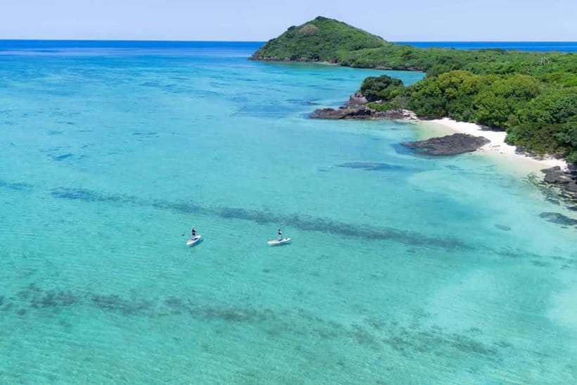 Ishigaki:Mangrove&Sea SUP/Kayak Tour with SLR&Drone footage - Should You Book the Fukidogawa Paddle?