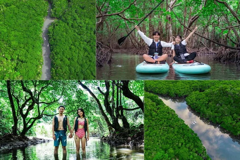 Ishigaki:Mangrove&Sea SUP/Kayak Tour with SLR&Drone footage - From Mangrove Channels to Open Sea