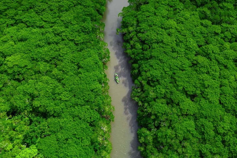 Ishigaki:Mangrove&Sea SUP/Kayak Tour with SLR&Drone footage - Choosing SUP or Kayak