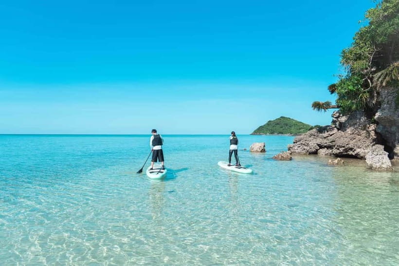 Ishigaki:Mangrove&Sea SUP/Kayak Tour with SLR&Drone footage - Timing Your Ishigaki Water Adventure