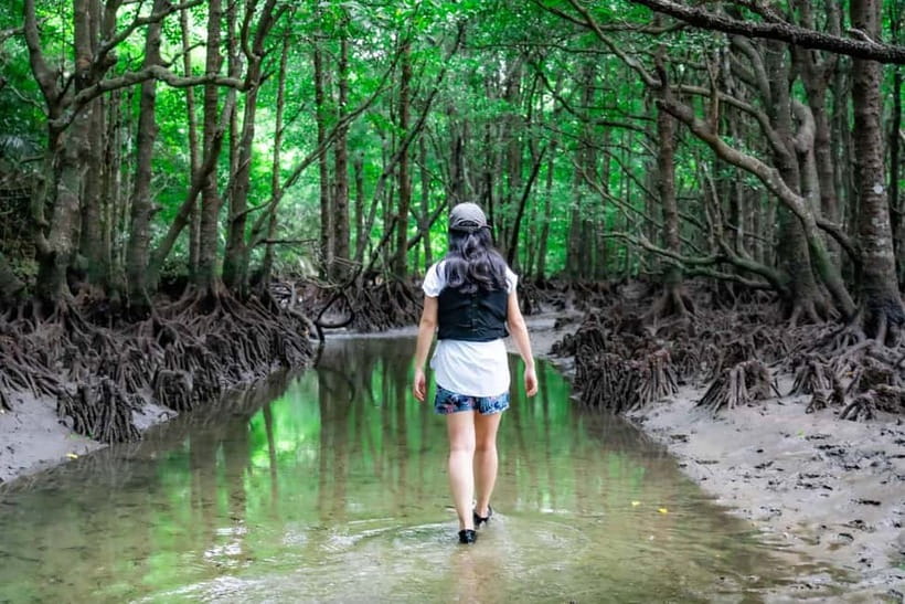 Ishigaki:Mangrove&Sea SUP/Kayak Tour with SLR&Drone footage - What to Bring and What to Leave Behind