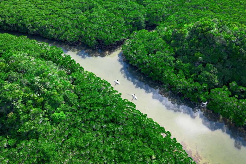 Ishigaki:Mangrove&Sea SUP/Kayak Tour with SLR&Drone footage - Why the Photo Package Adds Real Value