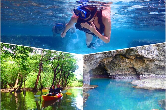 [Ishigaki]Mangrove SUP/Canoe + Blue Cave Snorkeling - Key points at a glance