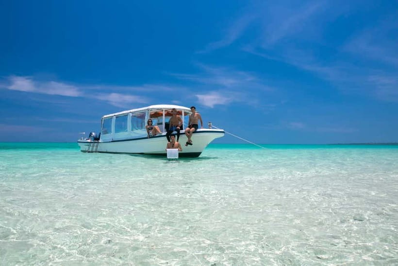 Ishigaki: Mangrove SUP or Canoe & Phantom Island Snorkeling - Two sides of Ishigaki in six hours
